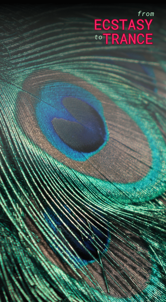 From Ecstasy to Trance