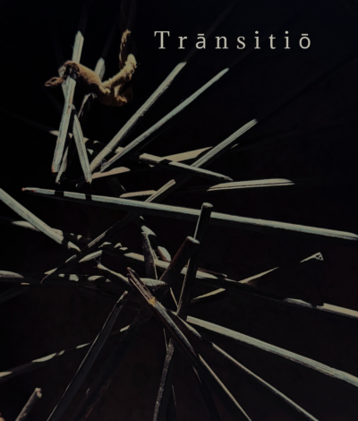 transSLIDER FOR PRODUCT PAGE