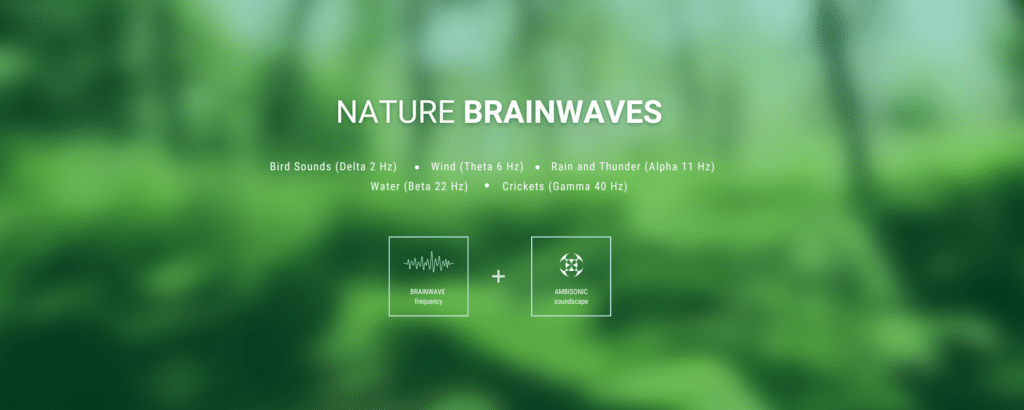 Nature brainwaves