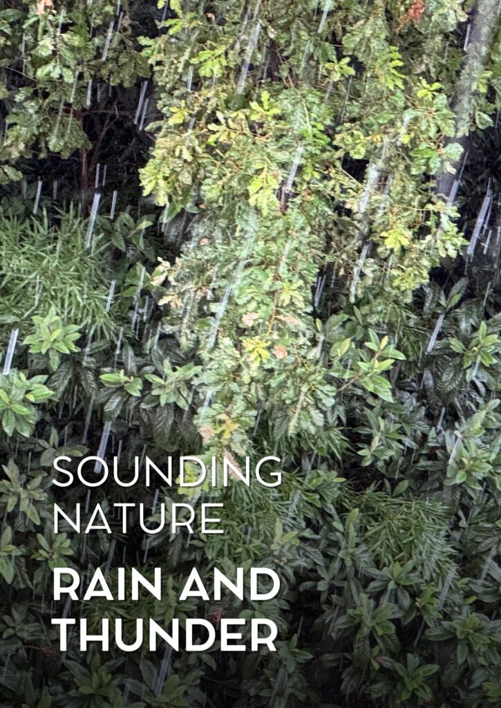 Sounding Nature: Rain & Thunder