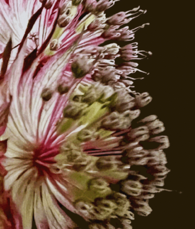 SLIDER FOR PRODUCT PAGE