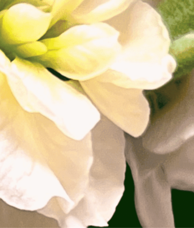 fcSLIDER FOR PRODUCT PAGE