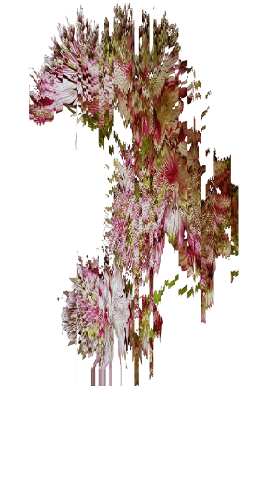 Envelop-Etherial-Flower