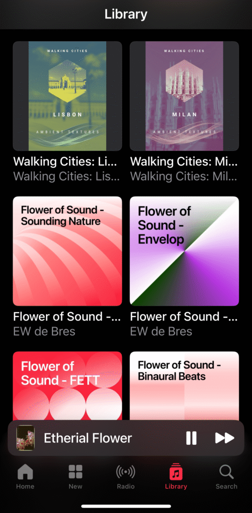 IMG 8204 e1764968528158