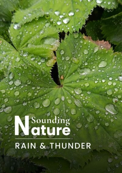 Artwork Sounding Nature Rain & Thunder
