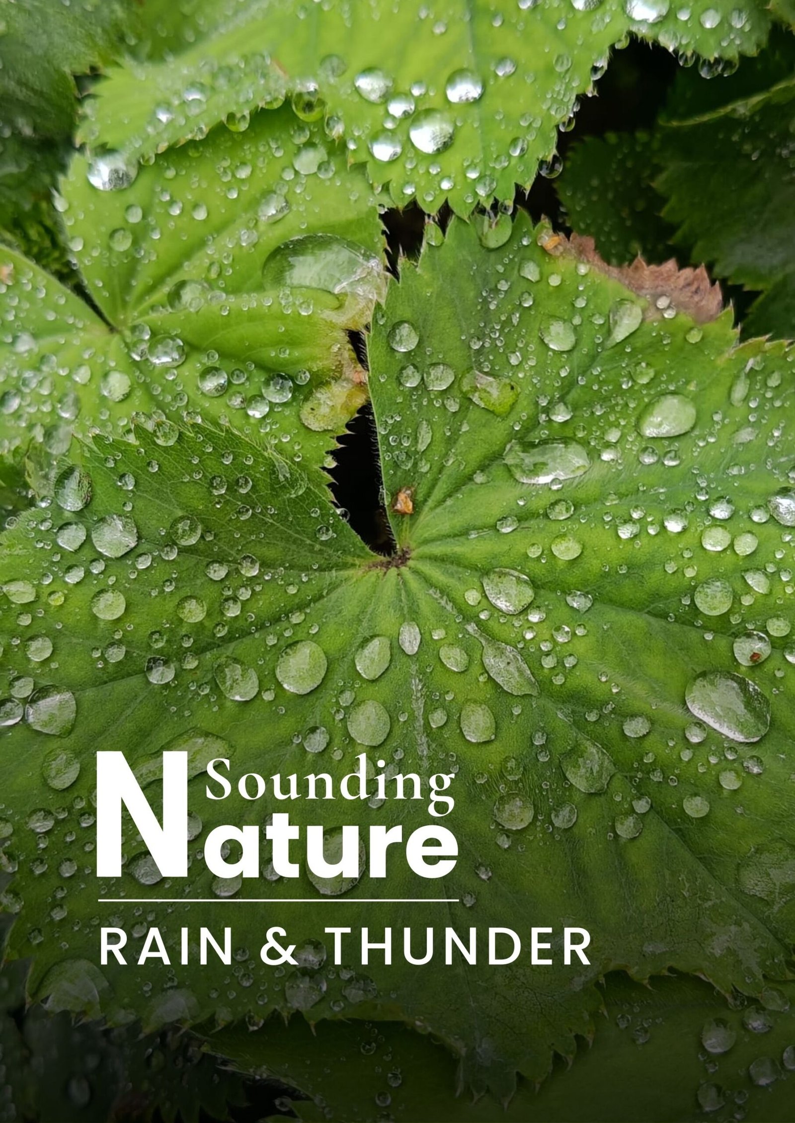 Artwork Sounding Nature Rain & Thunder