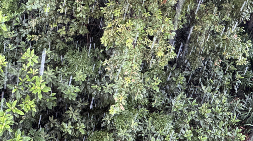 rain, sounding nature