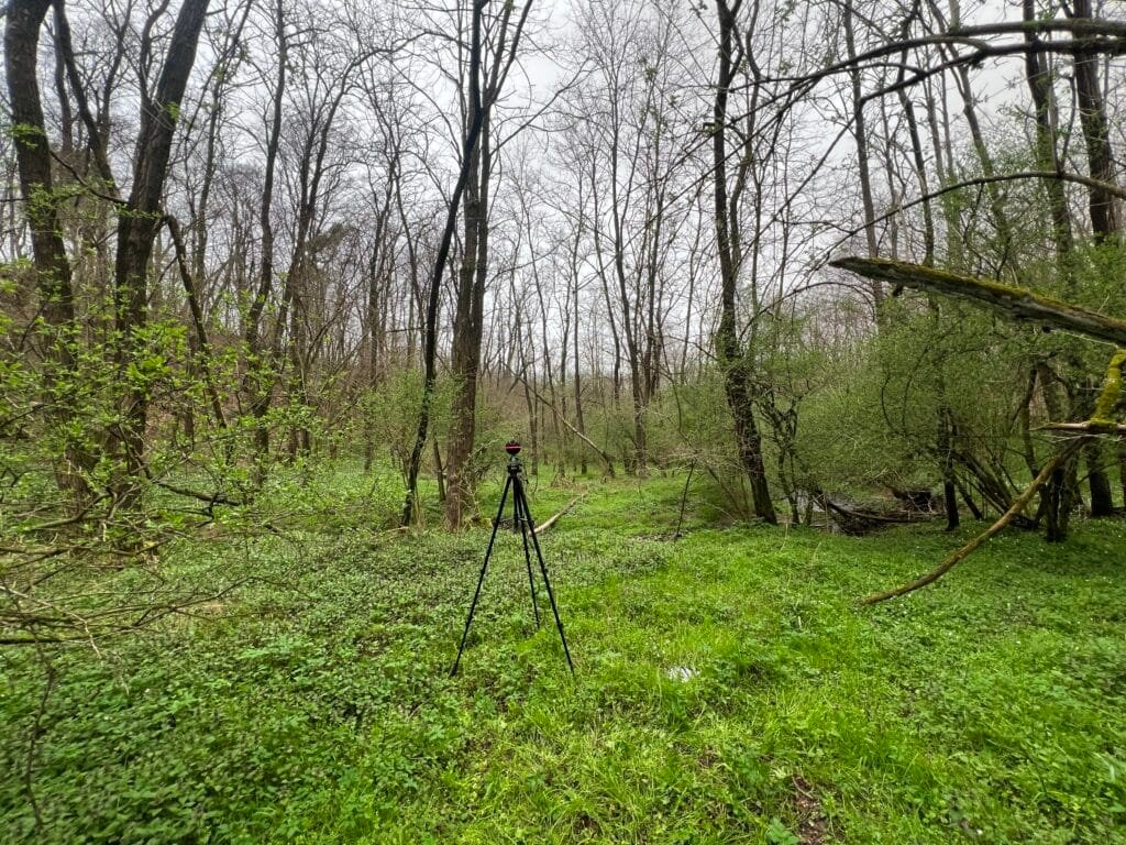 Recording nature sounds