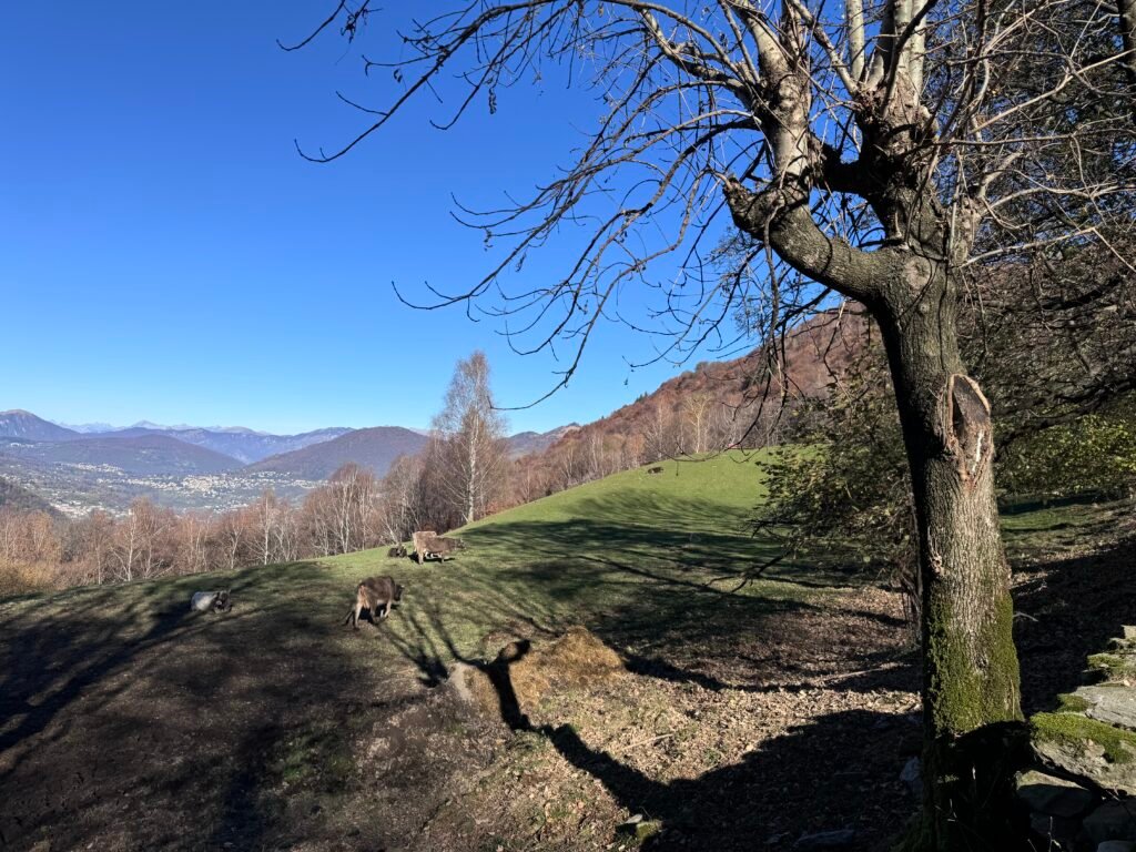 Photo 15 11 2024 11 19 52