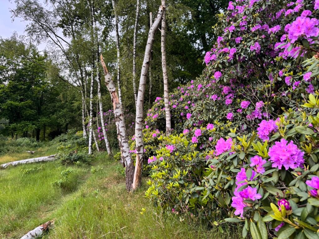 Photo 16 05 2024 20 26 19