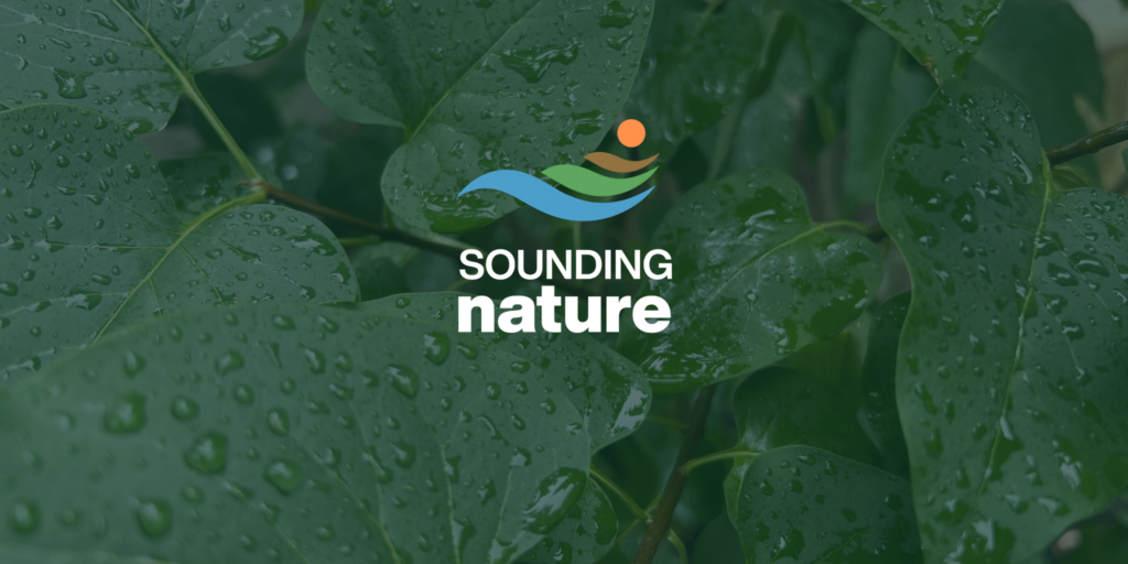 Sounding Nature logo